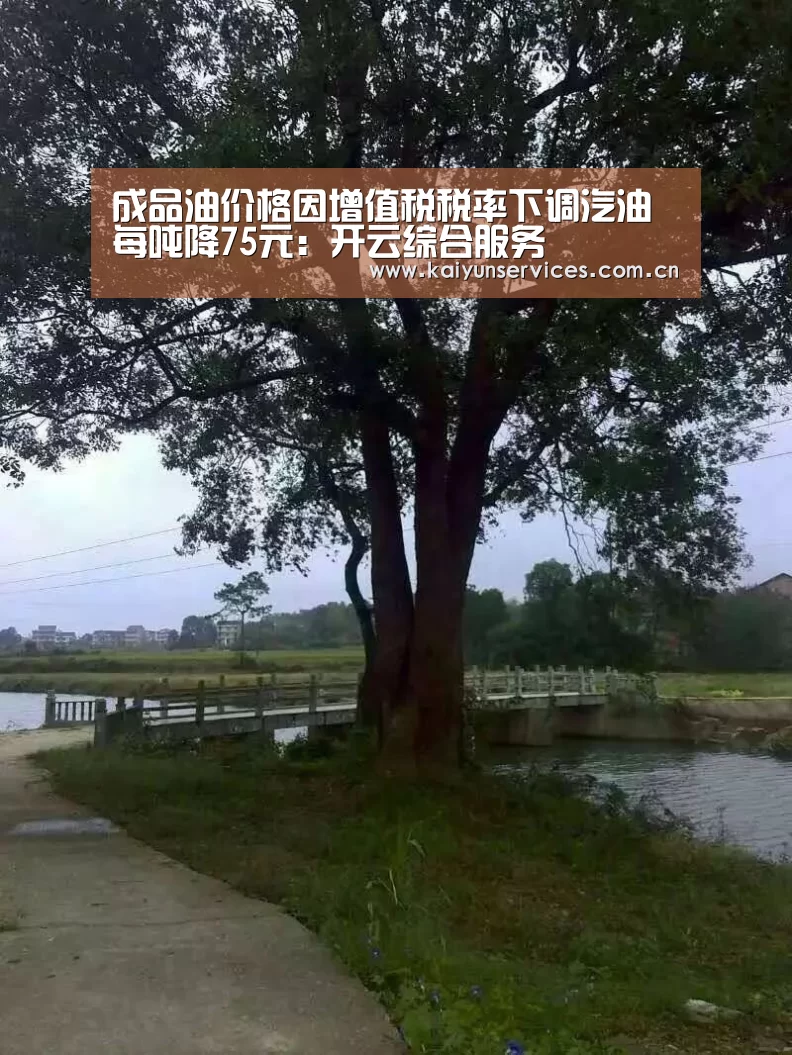 开云权威入口