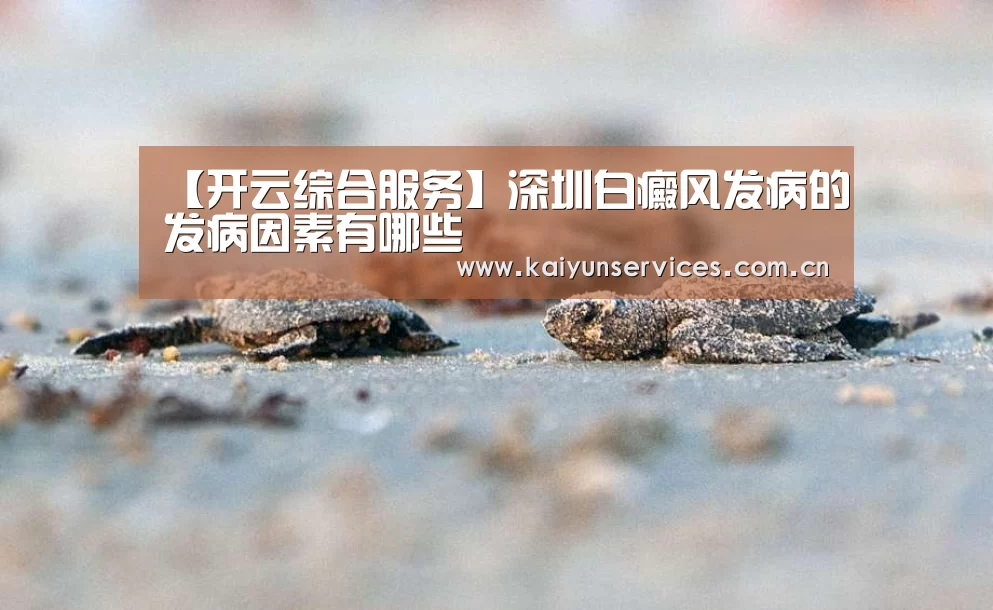开云综合服务
