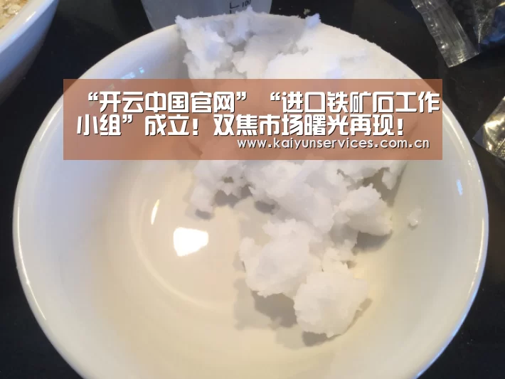 “开云中国官网”“进口铁矿石工作小组”成立!双焦市场曙光再现!(图2) 开云权威入口