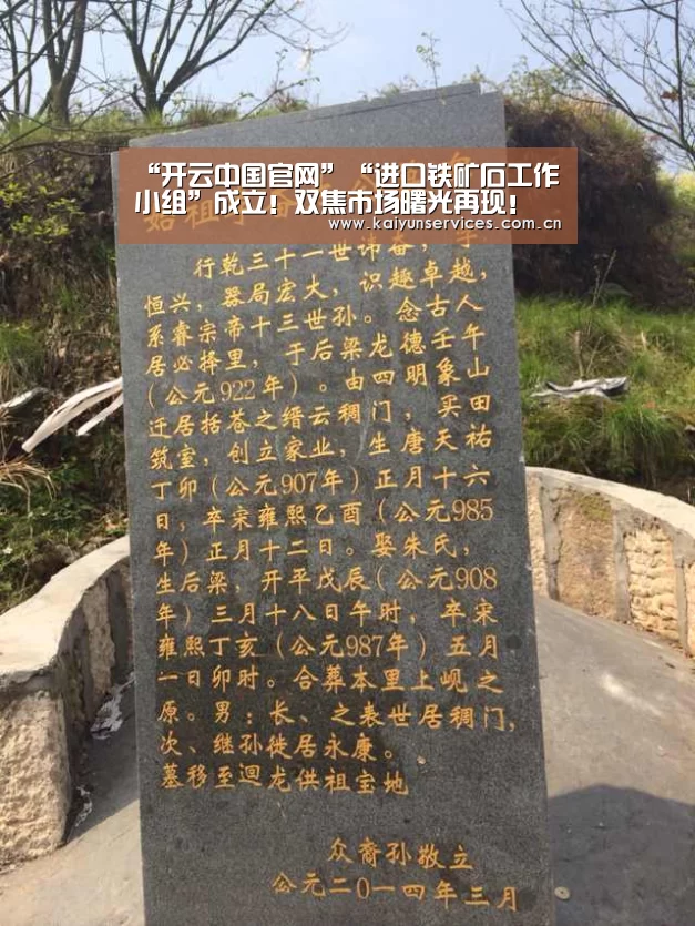 “开云中国官网”“进口铁矿石工作小组”成立!双焦市场曙光再现!(图3) 开云综合服务