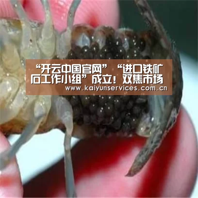 “开云中国官网”“进口铁矿石工作小组”成立!双焦市场曙光再现!(图4) 开云中国官网