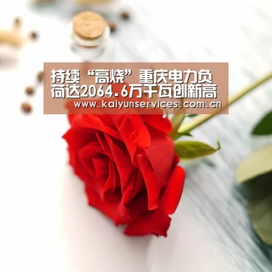 开云综合服务
