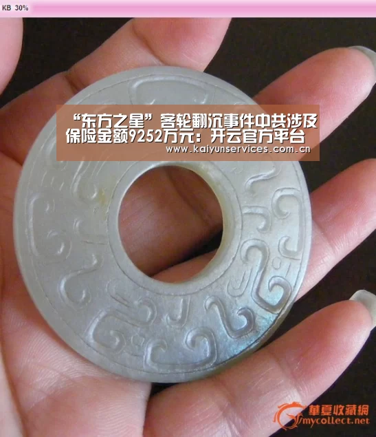 “东方之星”客轮翻沉事件中共涉及保险金额9252万元:开云官方平台(图1) 开云综合服务