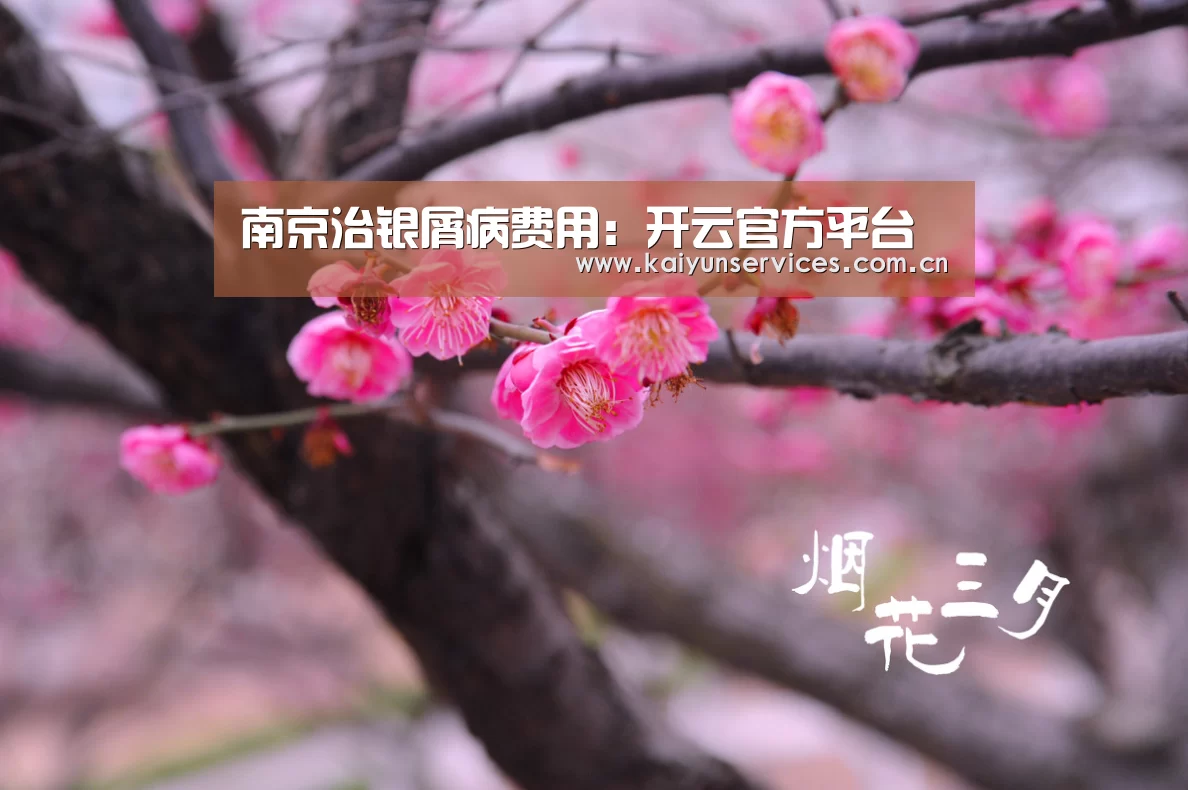 开云权威入口