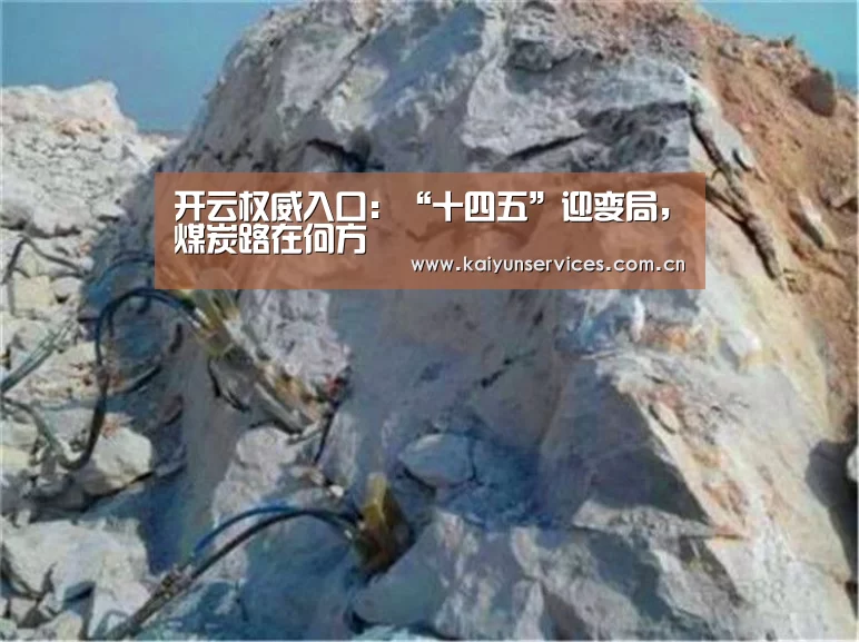 开云权威入口:“十四五”迎变局,煤炭路在何方(图3) 开云官方平台