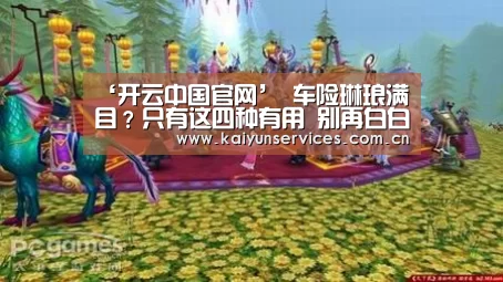 开云综合服务