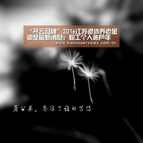 开云权威入口