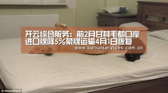 开云中国官网