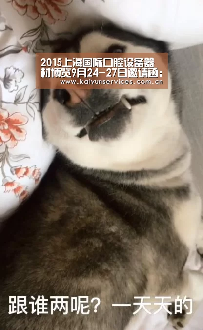 2015上海国际口腔设备器材博览9月24-27日邀请函:开云综合服务(图2) 开云权威入口