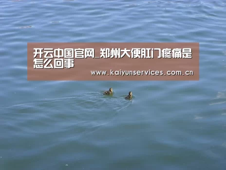 开云权威入口