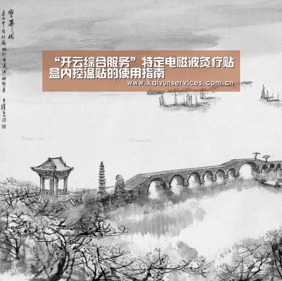 “开云综合服务”特定电磁波灸疗贴盒内控温贴的使用指南(图1) 开云权威入口